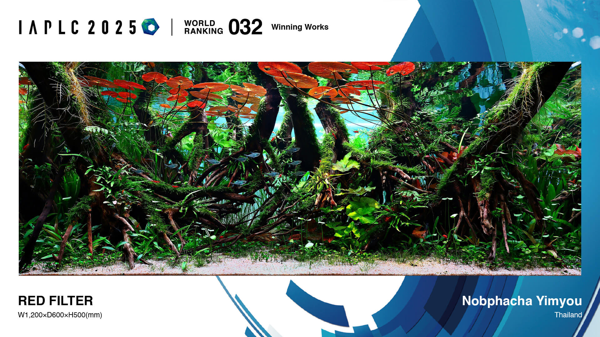 Aquascaping steps - Red Filter - IAPLC 2025 Winning Works - Nobphacha Yimyou / Thailand Aquascaping steps - Red Filter - IAPLC 2025 Winning Works - Nobphacha Yimyou / Thailand